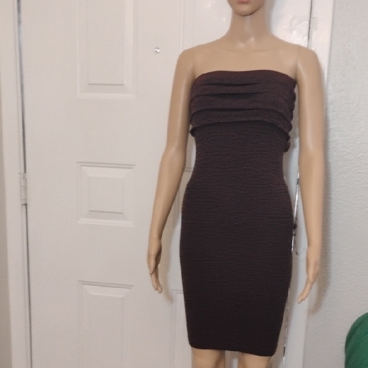Elegant Strapless Brown Dress